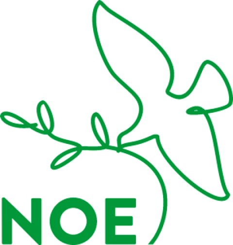 TV NOE